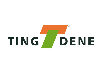 tingdene-logo