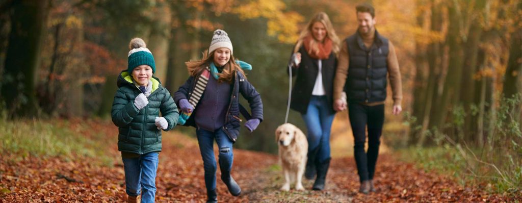 Dog Friendly Caravan Parks