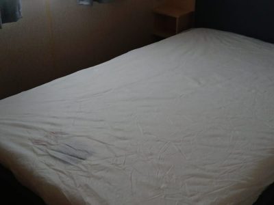 IMG-20241106-WA0013